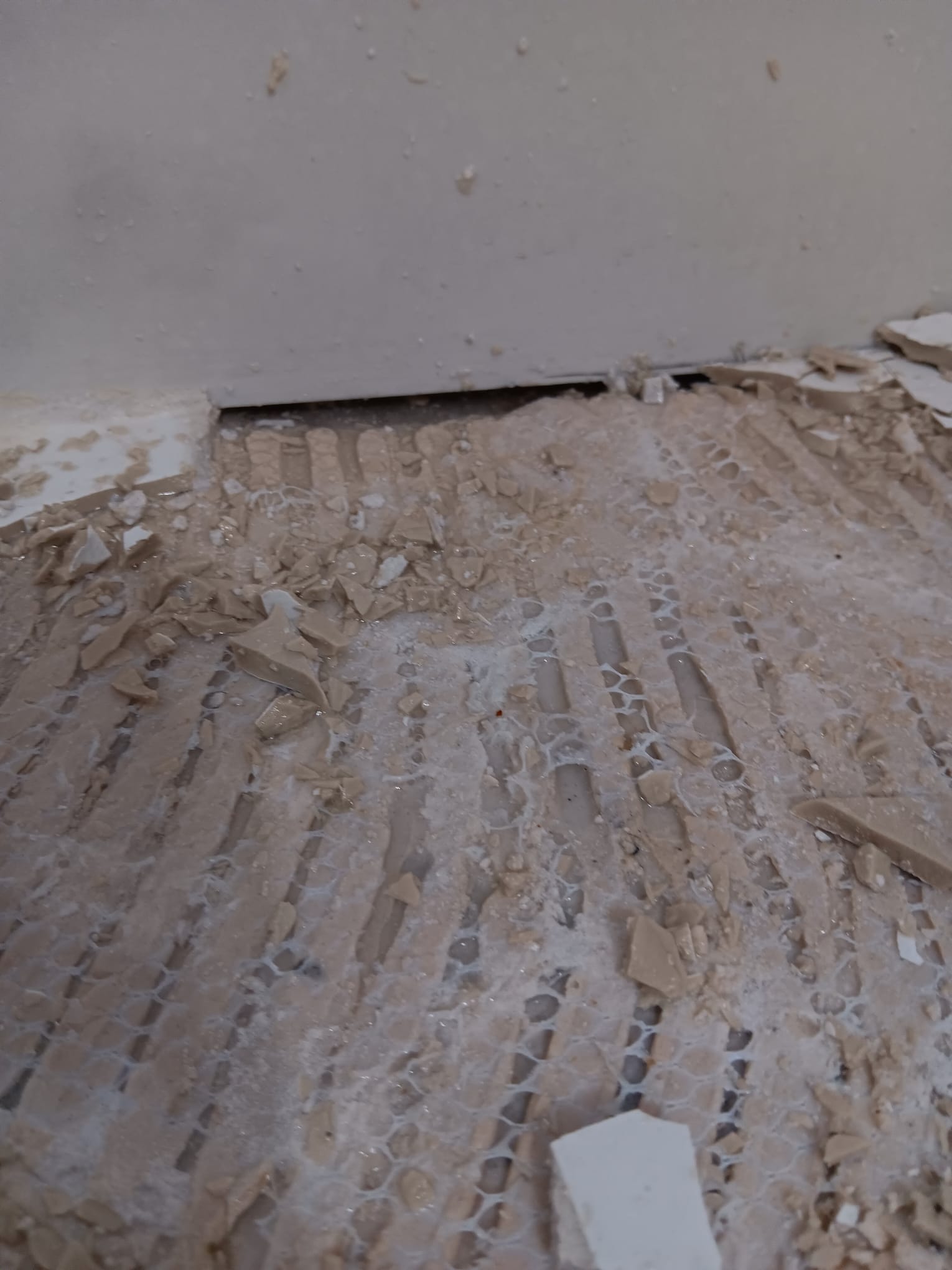 shower leaking causes